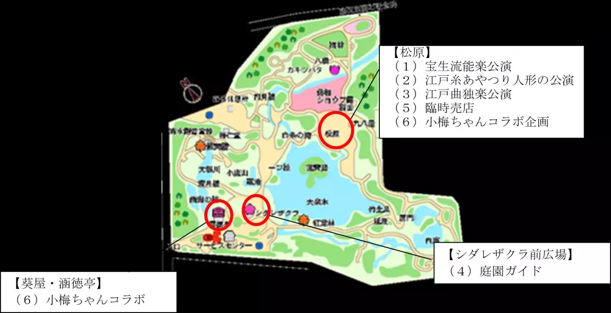 【小石川後楽園】約400本のイロハモミジで紅く染まる大名庭園で「深山紅葉を楽しむ」(11/16～12/8)特別企画決定！