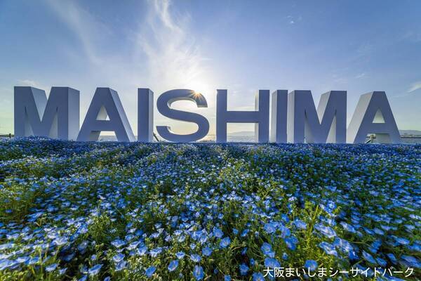 【ロッジ舞洲】ネモフィラ祭りと連動、自然の中で楽しむ美食とアウトドアが織りなす新企画「ピクニックガーデン舞洲」が登場！ 森と海に囲まれた大阪ベイエリアのリゾート施設からの特別な贈り物！新たな感動と心温まる体験を！