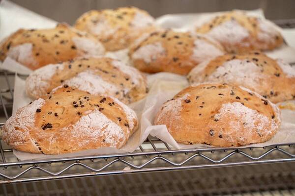 「こんなに楽しんでいいの！？」 4～6月シーズンゲスト・高橋みなみがプライベート感満載のハワイ旅堪能！ BS12「ハワイに恋して！」