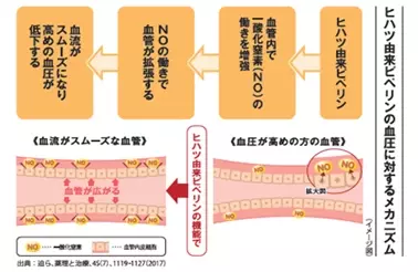 「血圧が高めの方のタブレット」、「血圧が高めの方の健康緑茶」 リニューアル発売