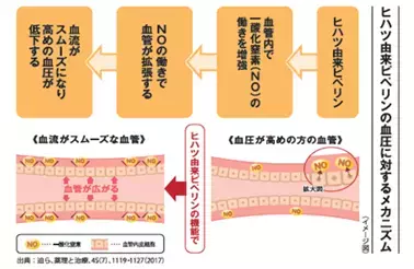 「血圧が高めの方のタブレット」、「血圧が高めの方の健康緑茶」 リニューアル発売