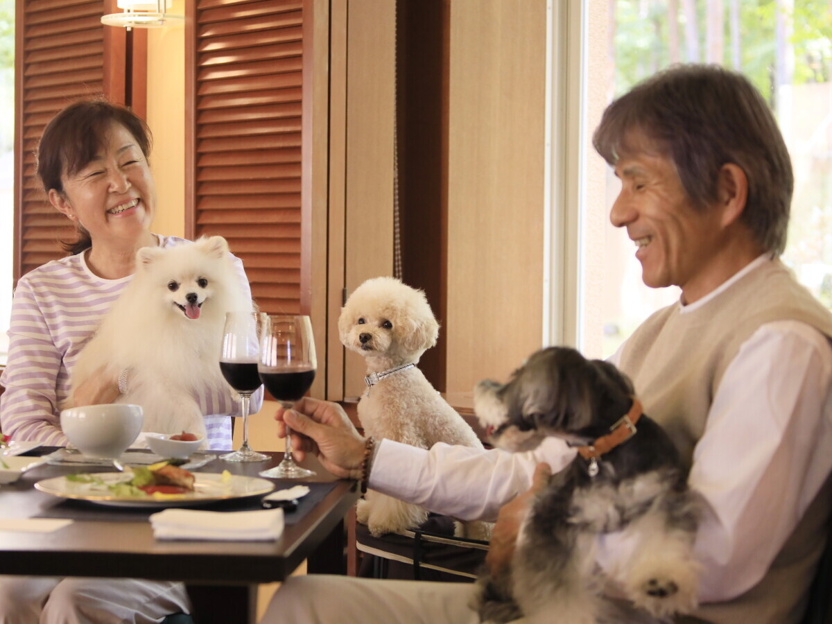 西伊豆や蓼科の“愛犬と泊まれるホテル”がハロウィンイベント開催　お得なチケットやワンちゃん用おやつが貰える！｜2024年10月17日～11月10日