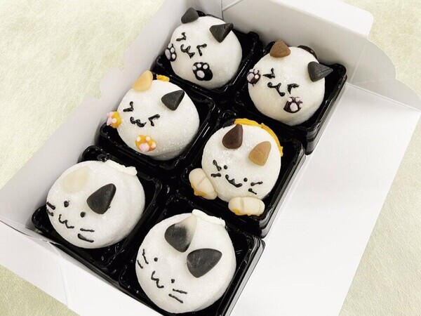 ２月22日は猫の日！昨年大好評の「猫型の和三盆」再販いたしました！【旅する久世福e商店】