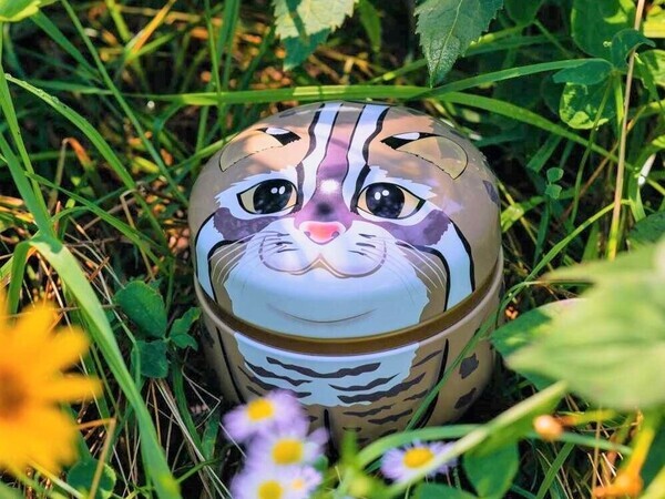 ２月22日は猫の日！昨年大好評の「猫型の和三盆」再販いたしました！【旅する久世福e商店】