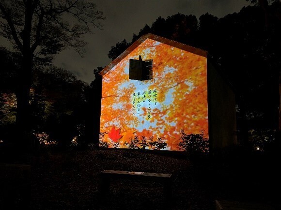 庭紅葉の六義園 夜間特別観賞【11/22～開催】