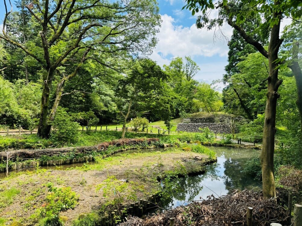 平山城址公園で7月13日(土)「里地里山体験！身近なところに別世界が！～平山城址公園・宮嶽谷戸・堀之内寺沢里山公園ウォーキング～」を開催！