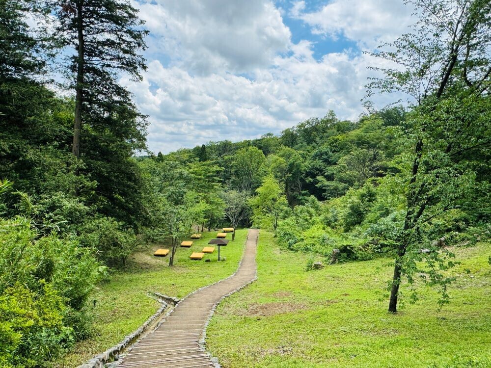 平山城址公園で7月13日(土)「里地里山体験！身近なところに別世界が！～平山城址公園・宮嶽谷戸・堀之内寺沢里山公園ウォーキング～」を開催！