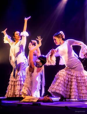 日本フラメンコ界のオールスターが集結　全国６都市で開催『フラメンコのちから ～The Power of Flamenco～』　カンフェティでチケット発売