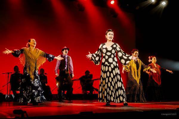 日本フラメンコ界のオールスターが集結　全国６都市で開催『フラメンコのちから ～The Power of Flamenco～』　カンフェティでチケット発売