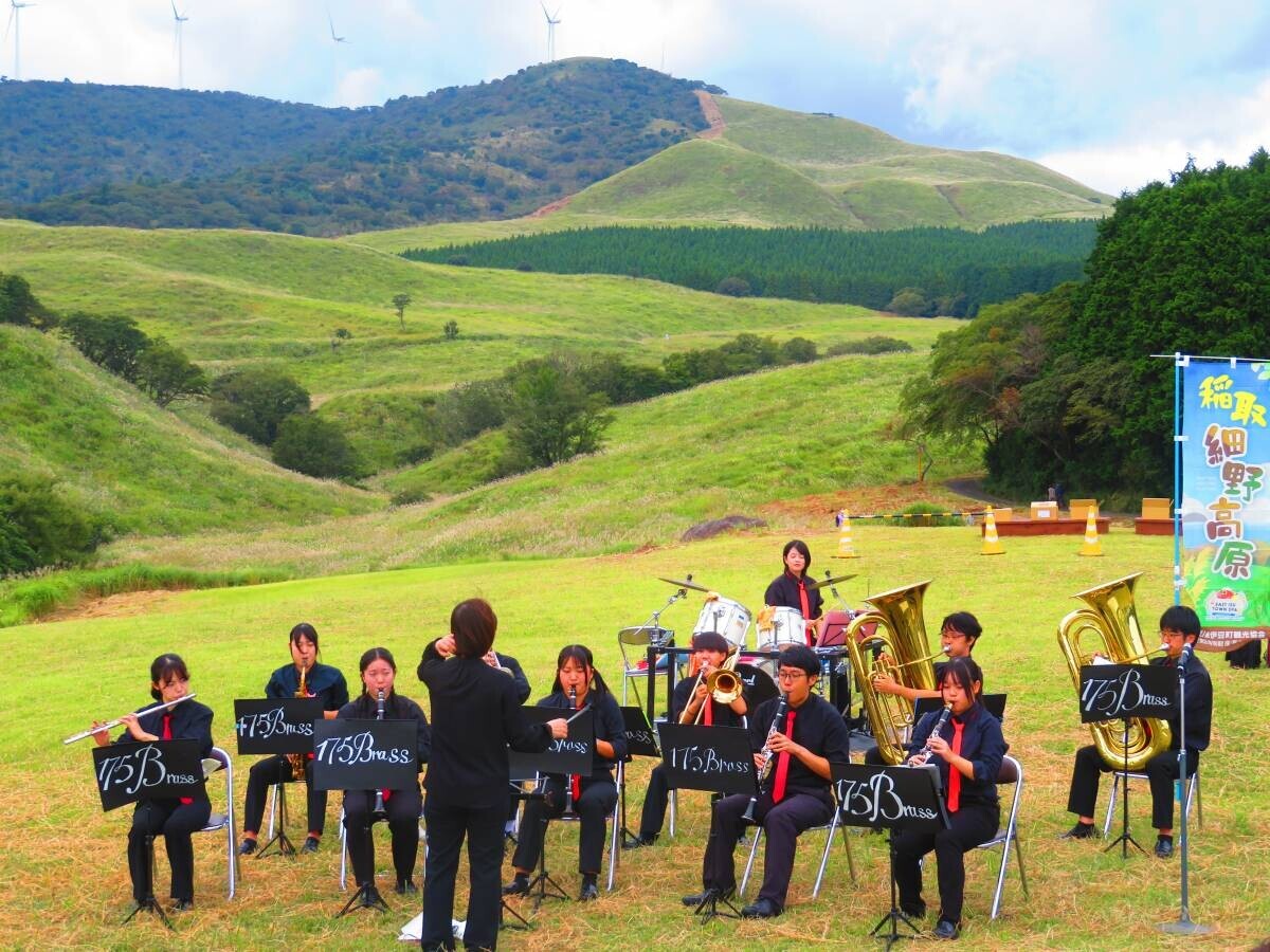 広がる展望はロケの聖地『稲取細野高原　秋のすすき観賞会』開催！【東伊豆町】