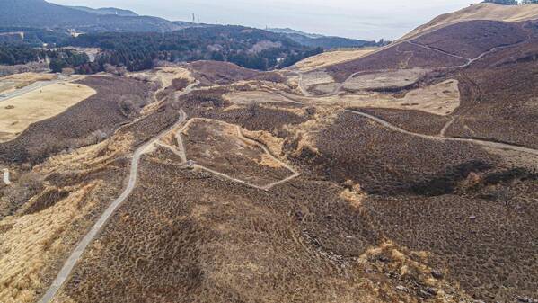 【第3回 細野高原  山焼き体感会2025】～伊豆の大地を体感する山焼きツアーを開催～