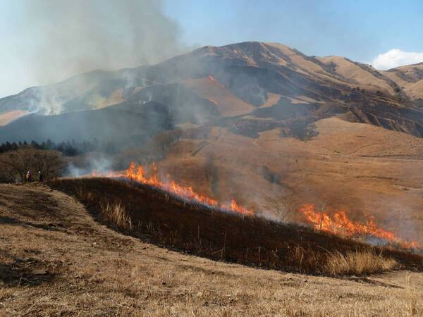 【第3回 細野高原  山焼き体感会2025】～伊豆の大地を体感する山焼きツアーを開催～