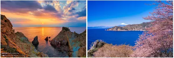 一足早く、春を楽しむ伊豆の旅へ。 桜と温泉を満喫する 大江戸温泉物語　伊豆半島の3つのホテルで3月1日より【春のまんぞくバイキング】スタート！