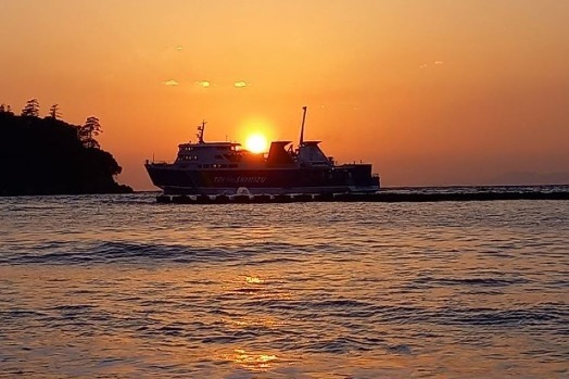 一足早く、春を楽しむ伊豆の旅へ。 桜と温泉を満喫する 大江戸温泉物語　伊豆半島の3つのホテルで3月1日より【春のまんぞくバイキング】スタート！