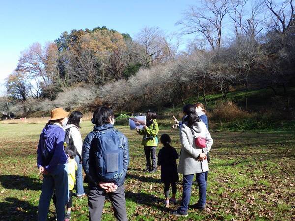 【小峰公園】あきる野の鳥見づくしを２月10日（土）に開催！秋川渓谷～小峰公園内までを散策します！