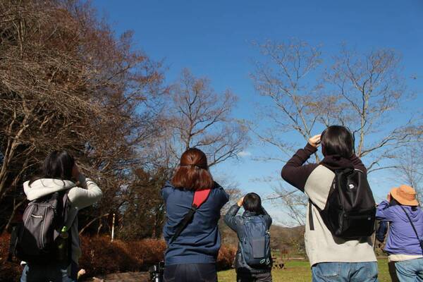 【小峰公園】あきる野の鳥見づくしを２月10日（土）に開催！秋川渓谷～小峰公園内までを散策します！