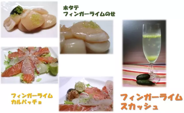 プチプチ食感！長崎県産 フィンガーライムを「ＪＡタウン」の ショップ「もぐもぐながさき」で販売中！ ～料理をさらに美味しく華やかに～