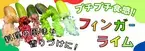 プチプチ食感！長崎県産 フィンガーライムを「ＪＡタウン」の ショップ「もぐもぐながさき」で販売中！ ～料理をさらに美味しく華やかに～