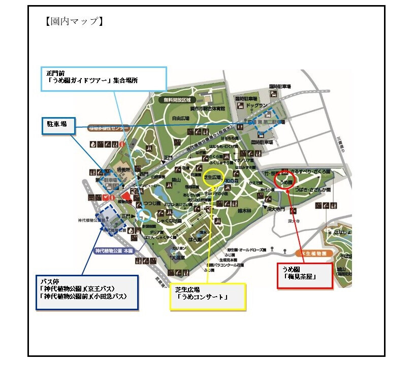 【神代植物公園】“梅まつり”、いよいよ明日（2/14）より開催！