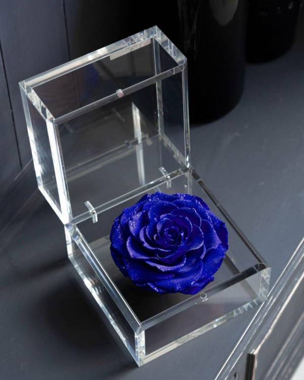 【7/7限定】七夕の日に愛を伝えるプロポーズ・告白応援DAY　銀座店限定開催　SUMMER VALENTINE’S DAY