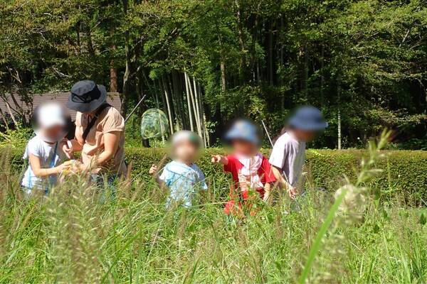 【9/15(日)開催】 虫大好きなちびっこ集まれ～緑豊かな小峰公園でバッタをさがそう！～