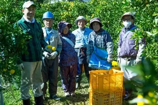 株式会社ハブ×ANAあきんど株式会社共同企画　「地域の魅力発信プロジェクト 」徳島フェア（TOKUSHIMA FAIR）を開始します