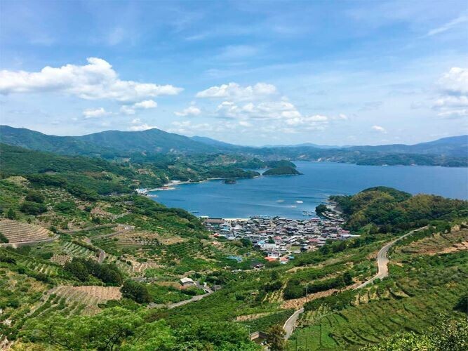 【夏限定】希少な愛媛県産ブラッドオレンジを贅沢に使用！太陽の恵みをいっぱいに受けた真っ赤なジャム「国産ブラッドオレンジ　マーマレード」発売【サンクゼール】