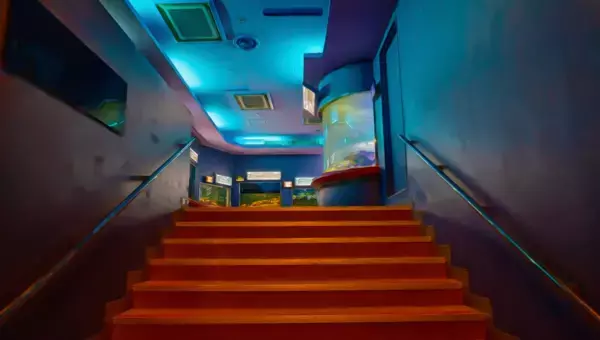 学園生活コミュニティ「キャラフレ」｜２０２３年度卒業旅行イベント『神戸・姫路・淡路島』のお知らせ