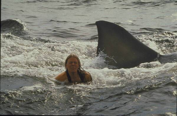 サメ映画の原点にして頂点 「JAWS／ジョーズ」3作品！ 4月の『土曜洋画劇場』BS12 トゥエルビで毎週放送