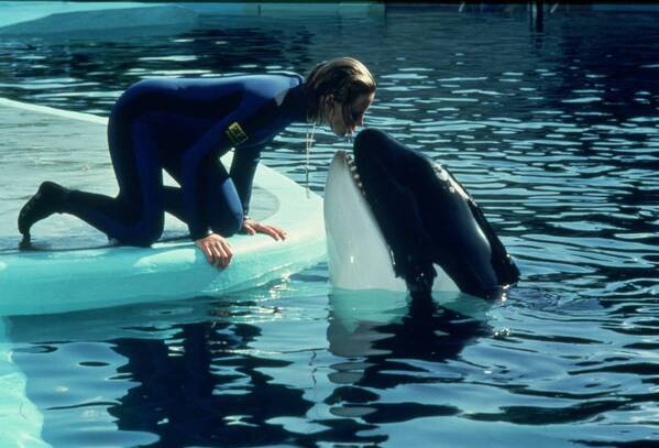 サメ映画の原点にして頂点 「JAWS／ジョーズ」3作品！ 4月の『土曜洋画劇場』BS12 トゥエルビで毎週放送