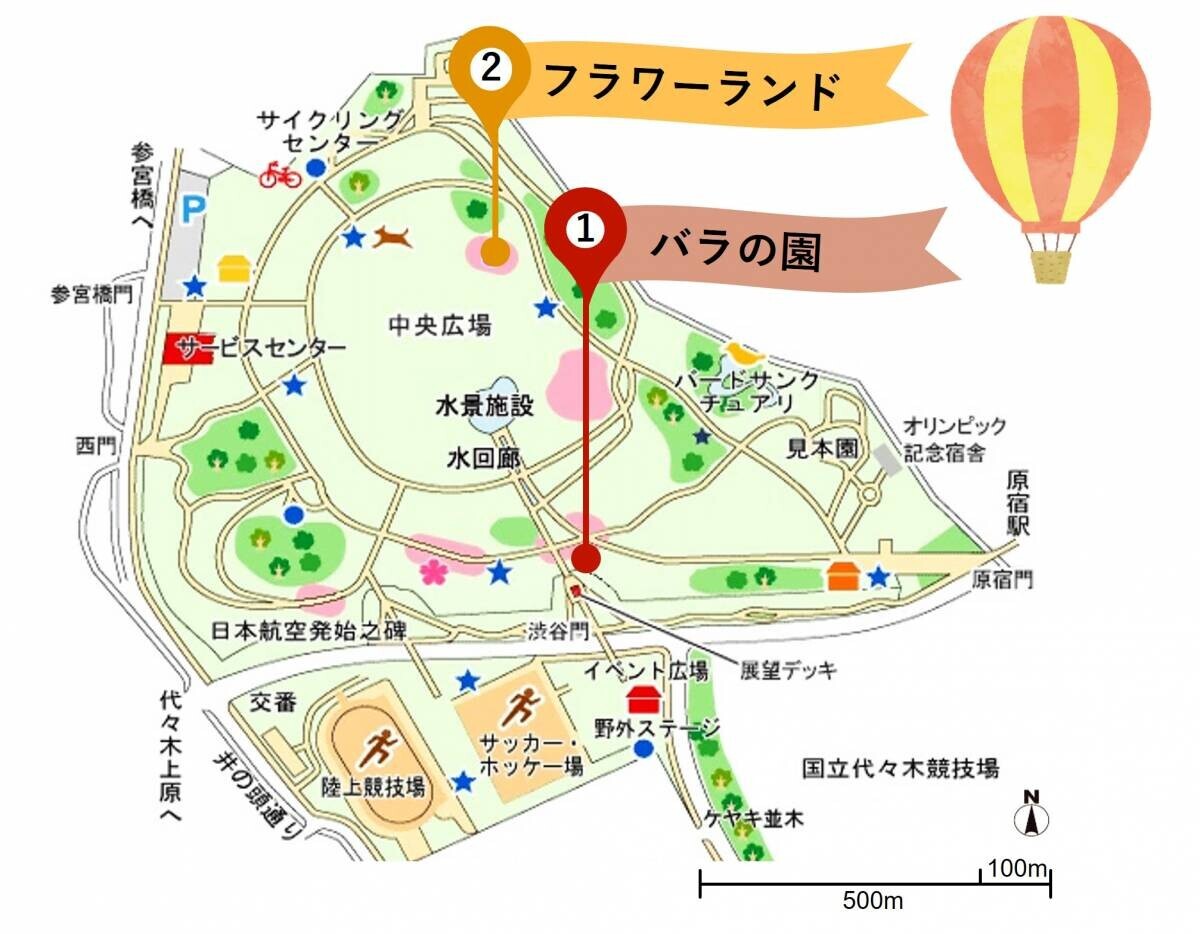 10/27(日) 代々木公園で「秋のバラフェスタ」を開催！ 園内のバラスポットを巡る『バラツアー』や『野外シネマ』も実施