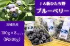 今が旬！程よい甘さと酸味が広がる茨城県産「ブルーベリー」を 「ＪＡタウン」のショップ「いいものいっぱい広場」で販売開始！