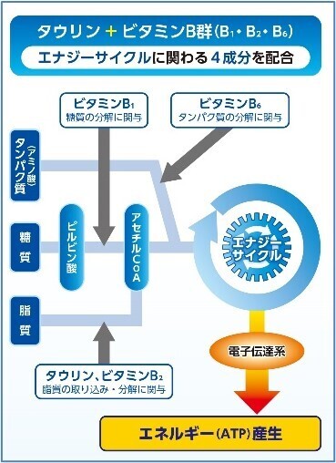 「リポビタンＤＸ ＰＬＵＳ」発売