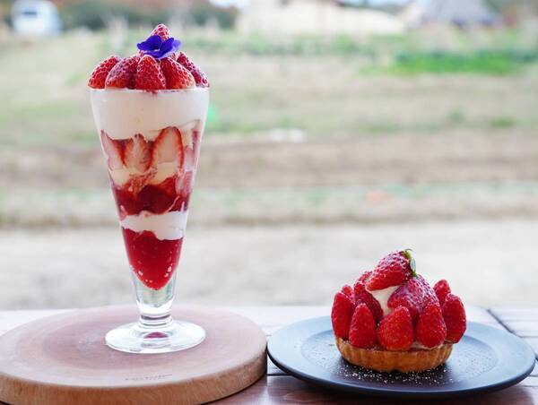 淡路島「陽・燦燦」 冬のホリデーを彩る甘美な逸品！ 淡路島産苺を贅沢に使用した特別スイーツ＆ドリンクが12月7日より登場