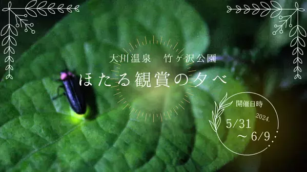 【 第22回 ほたる観賞の夕べ 開催 】伊豆半島・天城山脈のふもと、わさび田に舞い、水面に映る幻想的なほたる火