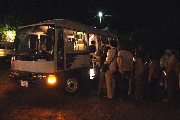 【 第22回 ほたる観賞の夕べ 開催 】伊豆半島・天城山脈のふもと、わさび田に舞い、水面に映る幻想的なほたる火