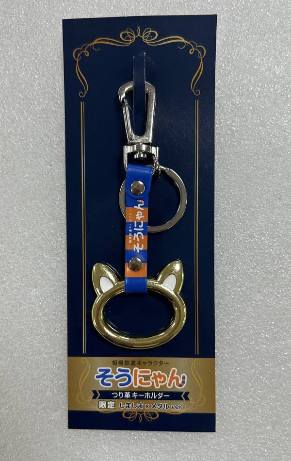 「11代目そうにゃんトレイン」の運転を開始【相模鉄道】