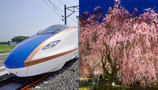 北陸新幹線延伸開業で、首都圏からのアクセスが良好に！ 大江戸温泉物語　石川県と福井県の宿で3月1日、春のまんぞくバイキングスタート！