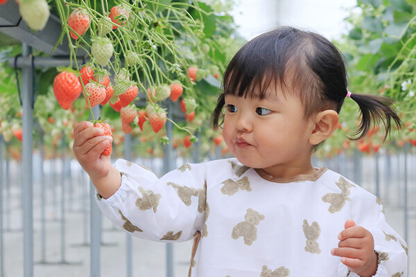 北陸新幹線延伸開業で、首都圏からのアクセスが良好に！ 大江戸温泉物語　石川県と福井県の宿で3月1日、春のまんぞくバイキングスタート！