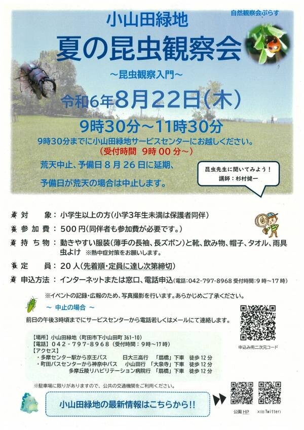 虫好き集まれ！小山田緑地で8月22日(木)「夏の昆虫観察会～昆虫観察入門～」開催します！