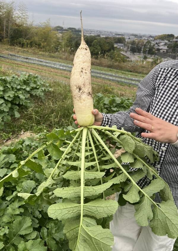 地元農家との連携で「ネイチャーポジティブ」を推進！大阪ベイエリアのホテル・ロッジ舞洲、健康と地域の恵みを生かした新たな食体験を提案