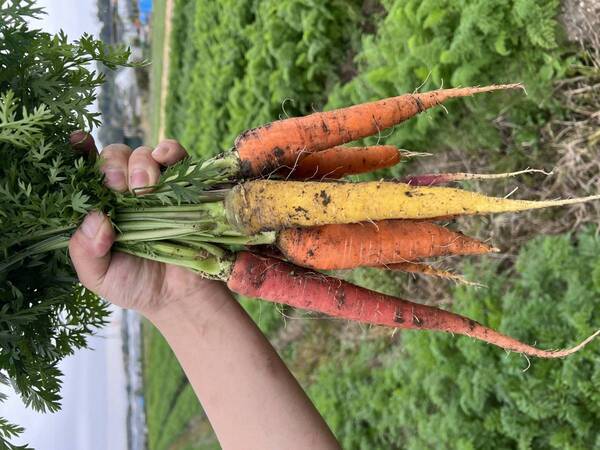 地元農家との連携で「ネイチャーポジティブ」を推進！大阪ベイエリアのホテル・ロッジ舞洲、健康と地域の恵みを生かした新たな食体験を提案