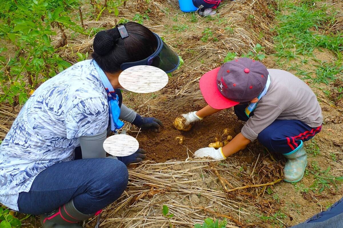 【4/7から全4回】小峰公園「おいしい野菜づくり」参加者募集中！今年はジャガイモと枝豆を育てます。