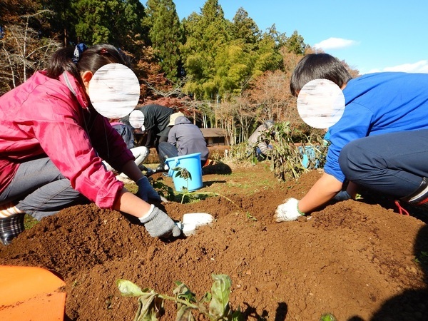 【4/7から全4回】小峰公園「おいしい野菜づくり」参加者募集中！今年はジャガイモと枝豆を育てます。