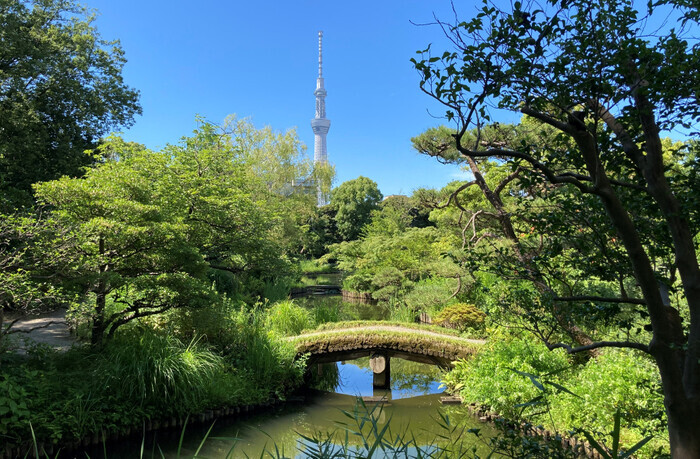 都立9庭園で和傘の貸出イベント「和傘で庭園めぐり」を実施します（7/13～9/16）