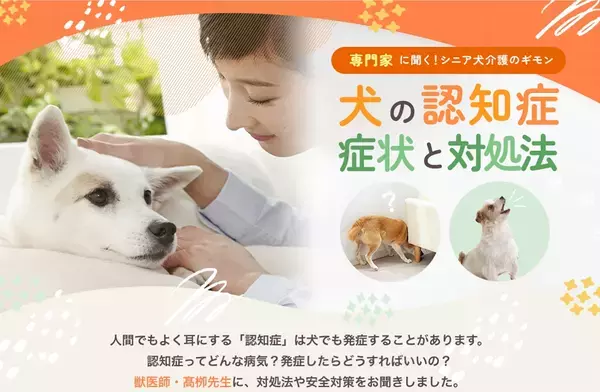 【犬の認知症 症状と対処法】専門家アドバイスのQ&A情報ページを10月31日公開