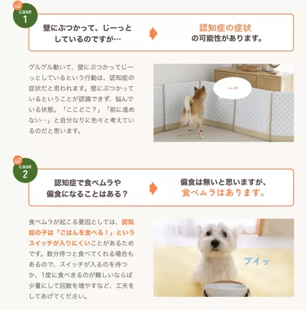 【犬の認知症 症状と対処法】専門家アドバイスのQ&amp;A情報ページを10月31日公開