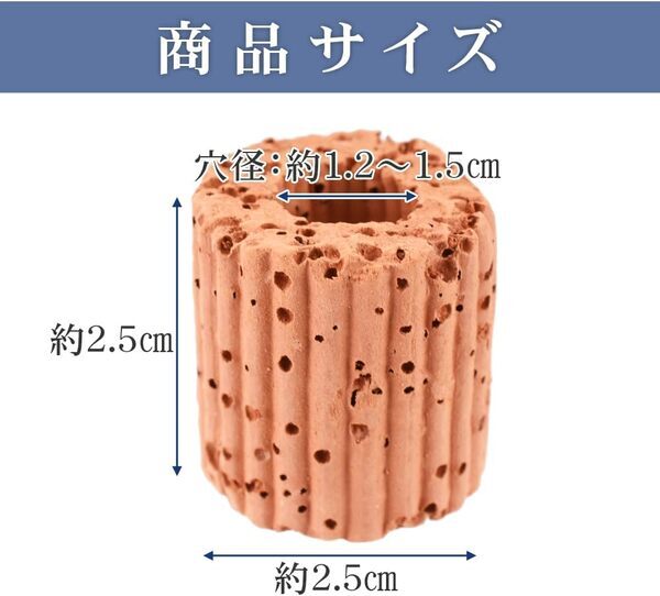 6月8日は世界海洋デー！海の未来について考える記念の日に環境に優しい「水槽用水草固定リング」を使って海を守るための第一歩をあなたの水槽からはじめよう（Amazonにて好評販売中！）