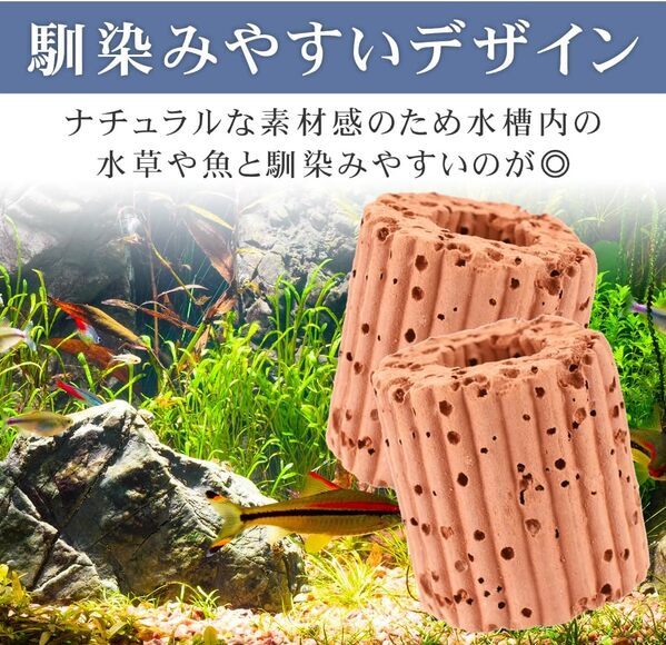 6月8日は世界海洋デー！海の未来について考える記念の日に環境に優しい「水槽用水草固定リング」を使って海を守るための第一歩をあなたの水槽からはじめよう（Amazonにて好評販売中！）