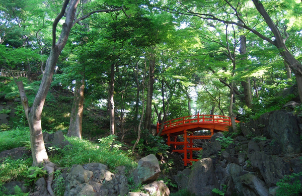 都立9庭園で夏の風物詩イベント「七夕飾り」を実施します（7/1～7/7）